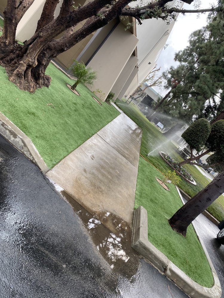 Tree trimming project by Juan's Gardening Service